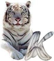 tigre-6120987-11.jpg