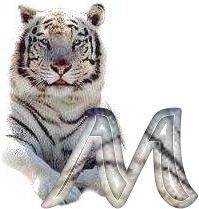 tigre-6120987-13.jpg