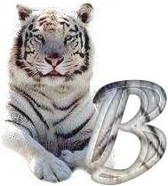 tigre-6120987-2.jpg