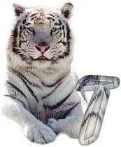 tigre-6120987-20.jpg