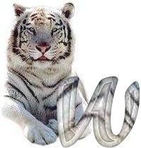 tigre-6120987-23.jpg