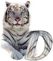 tigre-6120987-4.jpg