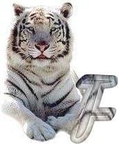 tigre-6120987-6.jpg