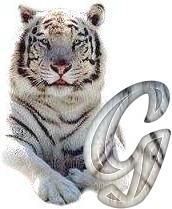 tigre-6120987-7.jpg