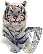 tigre-6120987-9.jpg