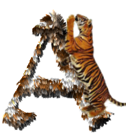 tigre-77734346-1.png