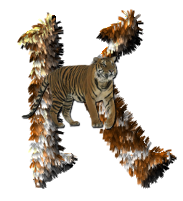 tigre-77734346-11.png