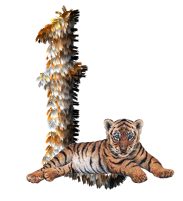 tigre-77734346-12.png