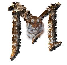 tigre-77734346-13.png