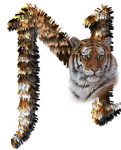 tigre-77734346-14.png