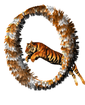 tigre-77734346-15.png