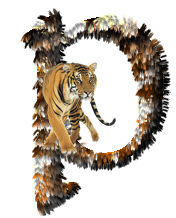 tigre-77734346-16.png