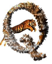 tigre-77734346-17.png