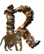 tigre-77734346-18.png