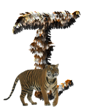 tigre-77734346-20.png