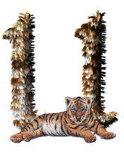 tigre-77734346-21.png