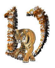 tigre-77734346-22.png