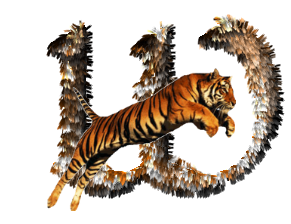 tigre-77734346-23.png