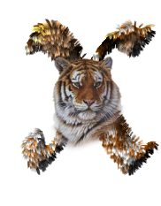 tigre-77734346-24.png