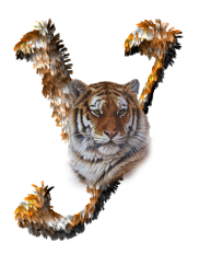 tigre-77734346-25.png