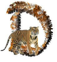 tigre-77734346-4.png