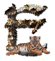 tigre-77734346-5.png