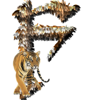 tigre-77734346-6.png