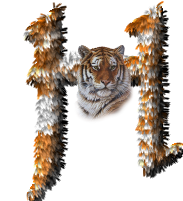 tigre-77734346-8.png