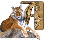 tigre-787878-1.gif