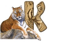 tigre-787878-11.gif