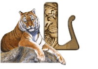 tigre-787878-12.gif