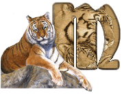 tigre-787878-13.gif