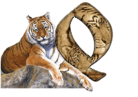 tigre-787878-17.gif