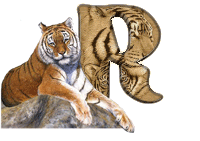 tigre-787878-18.gif