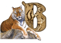 tigre-787878-2.gif