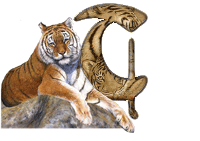 tigre-787878-20.gif
