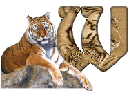 tigre-787878-23.gif