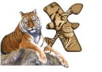 tigre-787878-24.gif