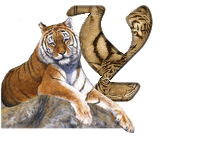 tigre-787878-25.gif