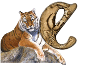 tigre-787878-3.gif