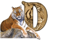 tigre-787878-4.gif