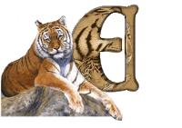 tigre-787878-5.gif