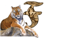 tigre-787878-6.gif