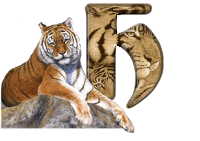 tigre-787878-8.gif