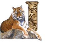 tigre-787878-9.gif