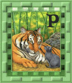 tigre-8845445555-16.gif