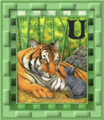 tigre-8845445555-21.gif