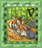 tigre-8845445555-22.gif