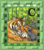 tigre-8845445555-3.gif