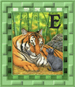 tigre-8845445555-5.gif